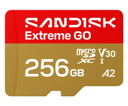 Karta pamięci Sandisk 256GB microSDXC Extreme Go UHS-I 240/160 MB/s